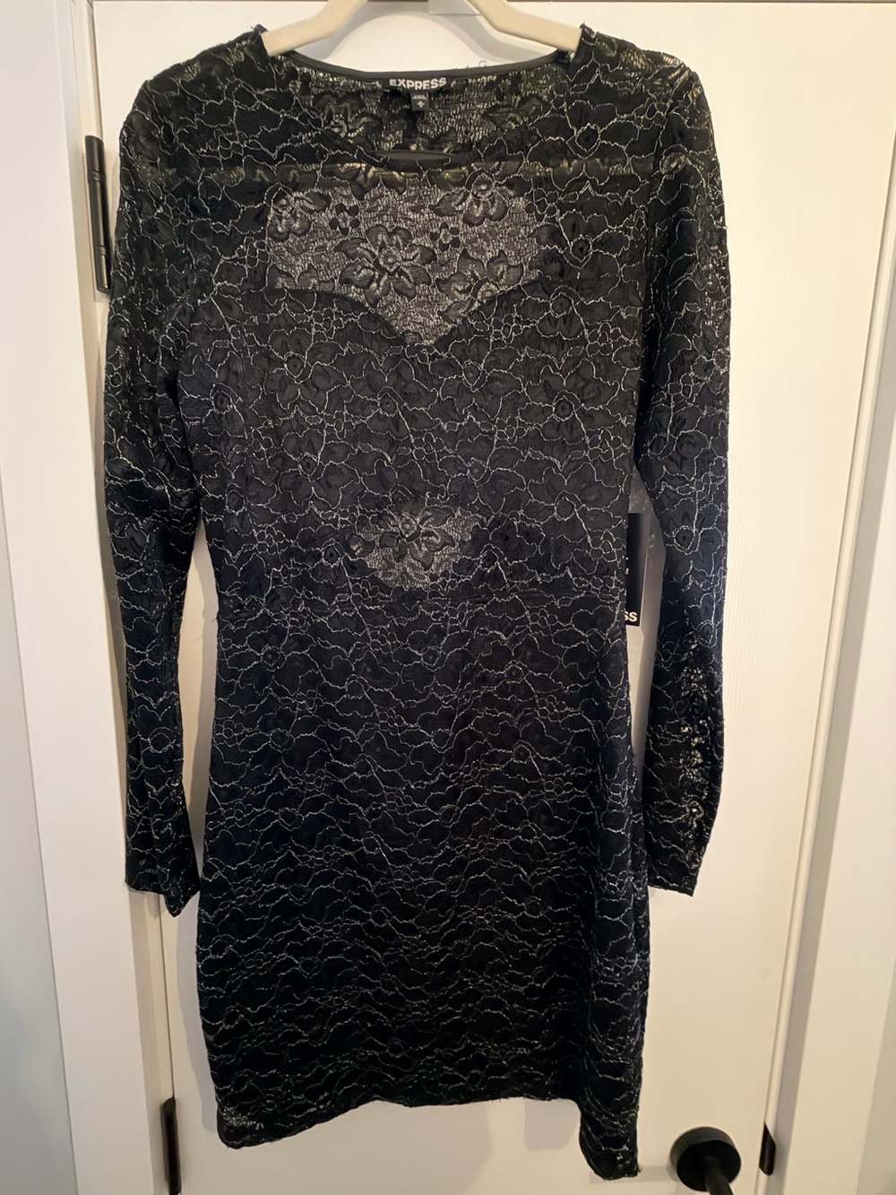 Express Black Lace Long-Sleeve Sheath Mini Dress